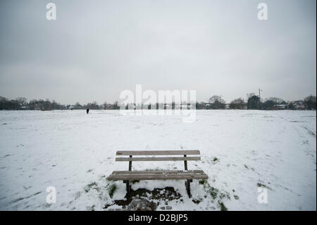 Au sud ouest de Londres. 19/1/13. Neige sur Wimbledon Common en temps gris. De plus la neige est prévue pour la région le dimanche 20 janvier. Banque D'Images