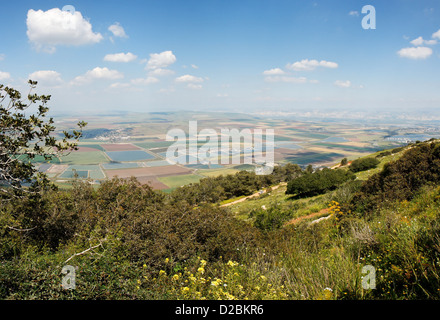 Vue panoramique sur la mosaïque de champs à partir de la montagne de Guilboa en Galilée, Israël Banque D'Images