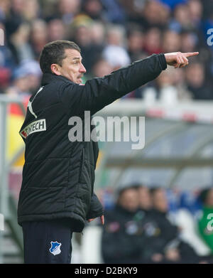 Hoffenheim entraîneur en chef Marco Kurz réagit au cours de la Bundesliga match de foot entre TSG 1899 Hoffenheim et Borussia Moenchengladbach au Rhein-Neckar-Arena de Berlin, Allemagne, 19 janvier 2013. Photo : UWE ANSPACH (ATTENTION : EMBARGO SUR LES CONDITIONS ! Le LDF permet la poursuite de l'utilisation de jusqu'à 15 photos uniquement (pas de photos ou vidéo-sequntial série similaire d'images admis) via internet et les médias en ligne pendant le match (y compris la mi-temps), prises à partir de l'intérieur du stade et/ou avant le début du match. Le LDF permet la libre transmission de l'enregistrement numérique Banque D'Images