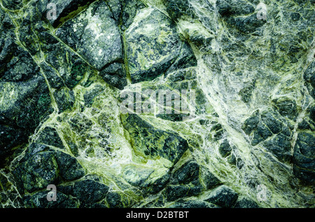 Jade sur Sand Dollar Beach, los Padres National Forest, Big Sur, California USA Banque D'Images