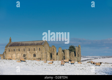 Le pâturage des moutons sur le terrain couvert de neige, avec Binham prieuré en arrière-plan, Norfolk, Angleterre, Janvier Banque D'Images