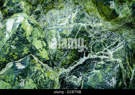 Jade sur Sand Dollar Beach, los Padres National Forest, Big Sur, California USA Banque D'Images