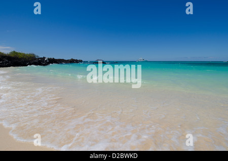 Plage isolée sur les îles Seymour Nord, îles Galapagos, Equateur Banque D'Images