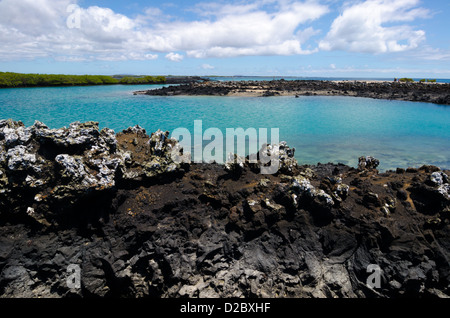 Puerto Villamil, Isabela, Îles Galápagos Banque D'Images