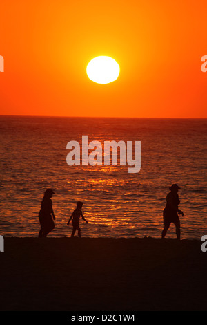 Les coureurs et marcheurs au lever du soleil la célèbre Sydney Bondi Beach sur une journée de canicule. Banque D'Images