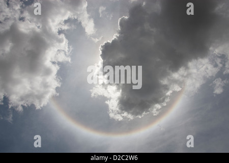 Arc-en-ciel circulaire vu à partir du sol dans le cratère du Ngorongoro en Tanzanie. Ce type d'arc-en-ciel est également appelée 'chien' Banque D'Images