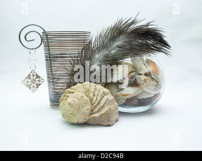 Chandelier en verre, une plume d'autruche et de coquilles dans un vase Banque D'Images