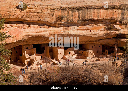 Maison de l'arbre de l'épinette, falaise, demeure de pre-Columbian indiens Anasazi et site du patrimoine mondial de l'UNESCO, le Parc National de Mesa Verde USA Banque D'Images