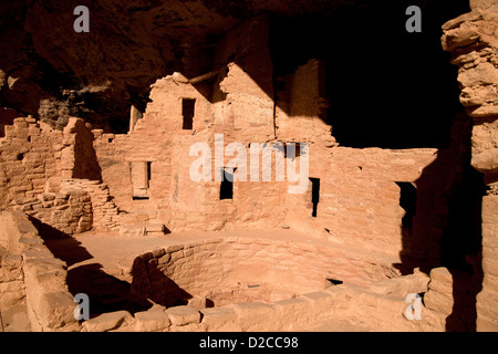 Maison de l'arbre de l'épinette, falaise, demeure de pre-Columbian indiens Anasazi et site du patrimoine mondial de l'UNESCO, le Parc National de Mesa Verde USA Banque D'Images