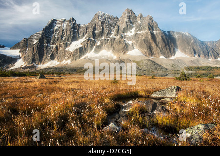 Les remparts au-dessus de lacs Amethyst dans la vallée Tonquin, Parc National Jasper, Rocheuses canadiennes, l'Alberta, Canada. Banque D'Images