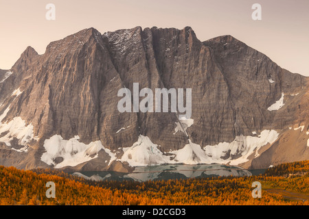 Le mur de pierre au-dessus du lac Floe et mélèzes d'or à l'automne, le Parc National de Kootenay, Canadian Rockies, British Columbia, Canada Banque D'Images