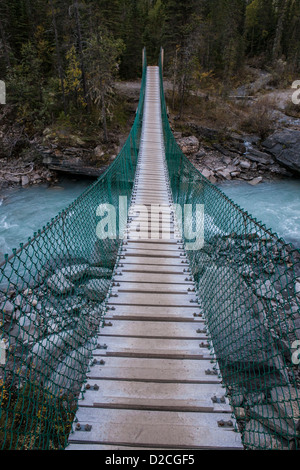 Pont suspendu au-dessus de la rivière près de Robson Camp Whitehorn Mount Robson Provincial Park, British Columbia, Canada. Banque D'Images