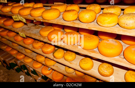 Fromage empilés dans le fromage ferme Banque D'Images