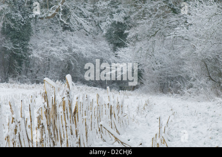 La Loire paysage d'hiver après la neige de janvier 2013 Banque D'Images