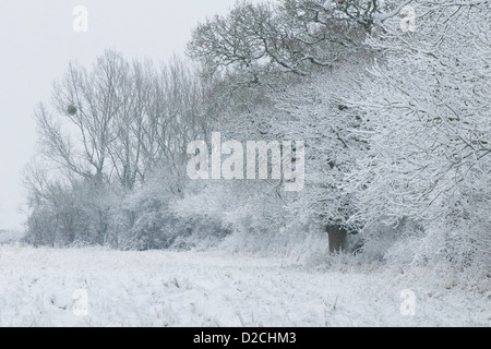 La Loire paysage d'hiver après la neige de janvier 2013 Banque D'Images