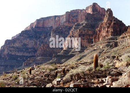 Fond du grand canyon jusqu'à l'Arizona USA Banque D'Images