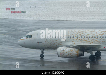 20 janvier 2013. Londres Heathrow au Royaume-Uni. L'aéroport de Heathrow a été frappé par un troisième jour d'annulations à cause de la neige et d'une faible visibilité et de l'aéroport a annoncé qu'il a programme réduit de 20 pour cent Banque D'Images