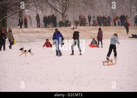 Oxford, UK. 20 Jan, 2013. Les enfants et les adultes aiment la neige dans South Park, Oxford, comme un deuxième jour de neige sont tombés sur la ville universitaire. Pete/Lusabia Alamy Live News Banque D'Images