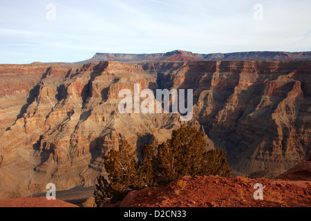 Vue sur le grand canyon de guano point Grand Canyon West arizona usa Banque D'Images