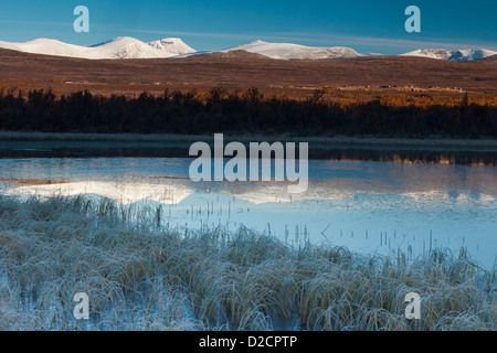 Frosty matin de septembre à Fokstumyra réserve naturelle, Dovre, la Norvège. Banque D'Images