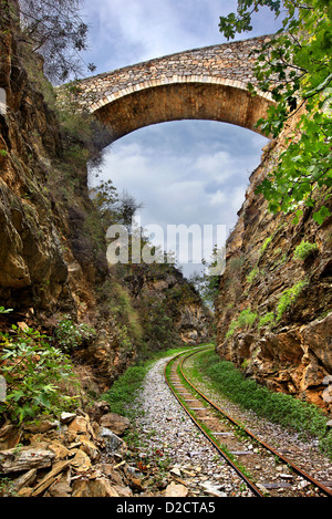 Une partie de l'Ano Gatzea Pelian, chemin de fer, village de montagne de Pelion, magnésie (magnésie), Thessalie, Grèce Banque D'Images