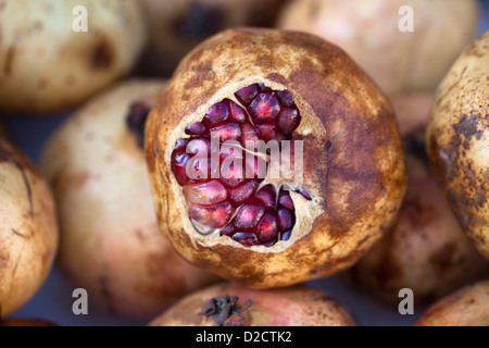 Vue rapprochée d'un grenadier (Punica granatum) en vente dans un secteur des fruits et légumes de la rue du marché. Banque D'Images