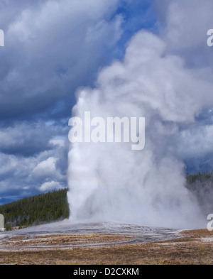 Éruption de l'Old Faithful Geyser, le Parc National de Yellowstone, Wyoming Banque D'Images