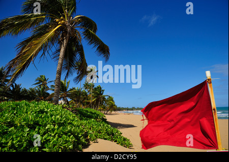 Le Rio Grande Beach Resort (Wyndham Hotels), Puerto Rico PR Banque D'Images