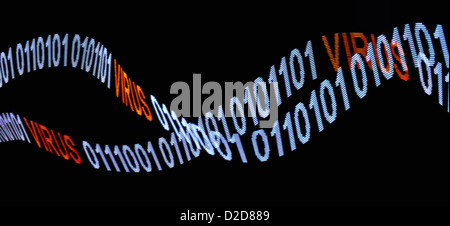 Deux intersections de lignes composées de code binaire et le virus word Banque D'Images