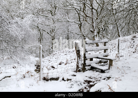 Style et des arbres couverts de neige sur un sentier au-dessus de la rivière Pontneddfechan Nedd Fechan Parc national de Brecon Beacons au Pays de Galles UK GO Banque D'Images