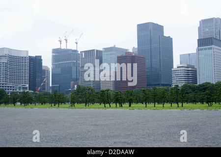 Gratte-ciel dans le quartier des affaires de Marunouchi vu de l'espace extra-jardins de Palais Impérial, Tokyo Banque D'Images