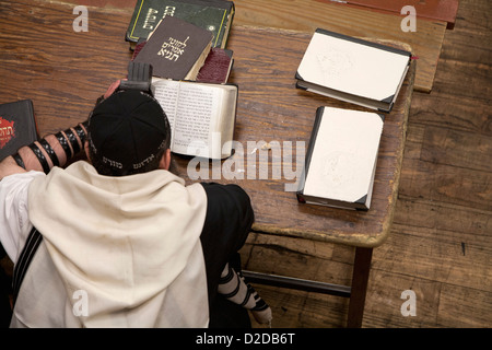 L'homme juif avec tefillin lecture livre de prière religieuse Banque D'Images