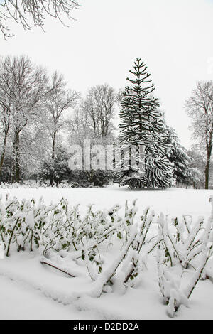 Parc de Scatchard, Morley, Leeds en hiver Banque D'Images