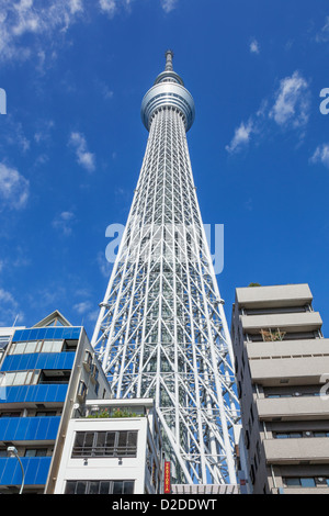 Le Japon, Honshu, le Kanto, Tokyo, Asakusa, Skytree Tower Banque D'Images