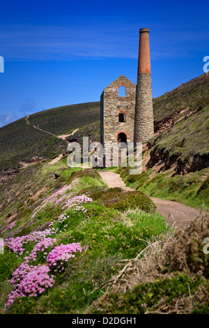 Papule Coates tin mine sur la côte près de St Agnes Tête dans Cornwall, UK. Banque D'Images