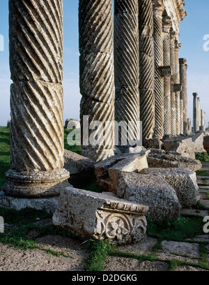 La Syrie. Apamée ou Apameia (Afamia). Colonnade en le Cardo Maximus. Détail. Banque D'Images