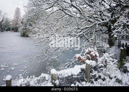 Paysage d'arbres et étang gelé en 76200 Park, Londres du sud au milieu de l'hiver la neige. Banque D'Images