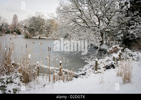 Paysage d'arbres et étang gelé en 76200 Park, Londres du sud au milieu de l'hiver la neige. Banque D'Images