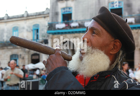 Homme fumant un cigare cubain Banque D'Images