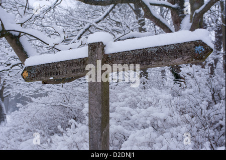 Inscrivez-sentier couvert de neige, Janvier, Telegraph Hill, Claygate, ESHER, Surrey, UK. Banque D'Images