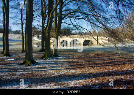 Pont sur la rivière Glyme, Blenheim Palace, Angleterre Banque D'Images