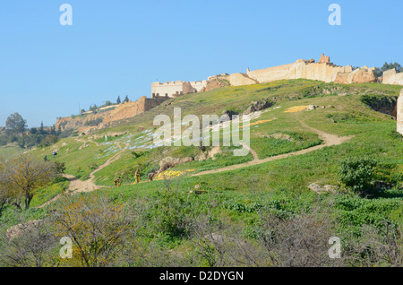 Colline surplombant l'ancienne ville de Fès, Maroc. Les peaux sont mis à sécher au soleil pendant la journée. Banque D'Images