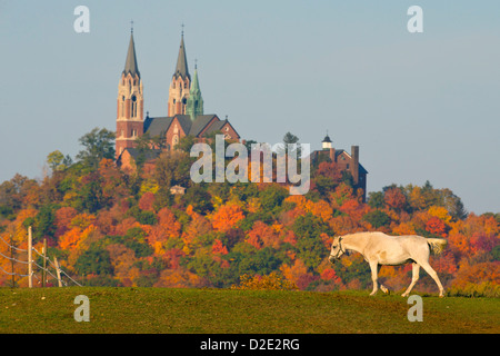 Horse Banque D'Images