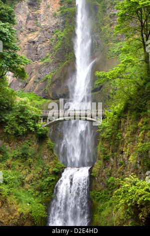 Chutes de Multnomah et le célèbre Pont pied Benson dans la gorge du Columbia National Scenic Area, Oregon. Banque D'Images