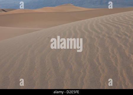 Télévision Mesquite dunes près de Stovepipe Wells dans Death Valley National Park, en Californie. Banque D'Images