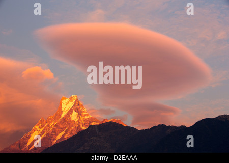 Alpenglow au coucher du soleil sur l'Annapurna Machapuchare, sanctuaire, Nepelese Himalaya. Banque D'Images