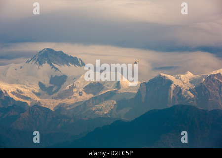 Des deltaplanes vols touristiques pour donner à partir de Pokhara, Népal, en face de l'Himalaya. Banque D'Images