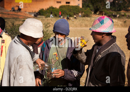 Madagascar, Ambositra, Zébu Savika tournant, man drinking rhum local pour le courage Banque D'Images