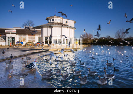 Cleethorpes, North East Lincolnshire, Angleterre, Royaume-Uni. 9 janvier 2013. Le Centre de découverte et de lac de plaisance Banque D'Images