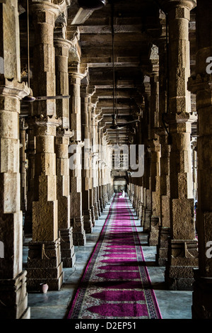 Jama Masjid ou Mosquée du Vendredi, Ahmedabad, Gujarat, Inde Banque D'Images